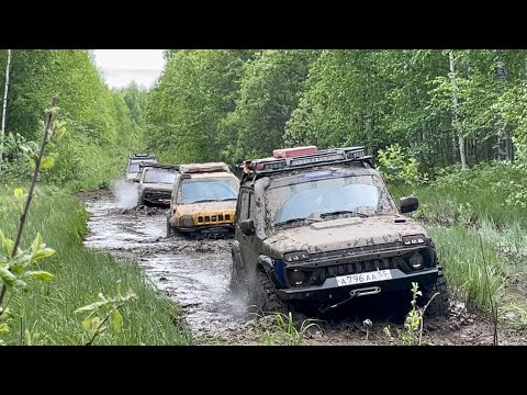 Видео: Таёжный зов 2022. Часть 2