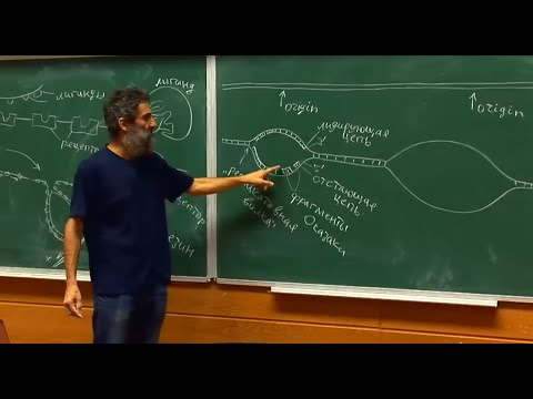 Видео: Лекция 4.  Трансляция, эндоцитоз, репликация ДНК. Окштейн И.Л., МФТИ