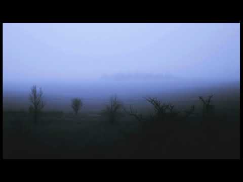 Видео: Гости из Будущего - Где-то (doomerwave)