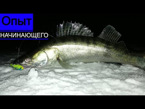 Видео: Проводка ратлина на судака/Обзор рабочих вибов/Опыт начинающего в зимней рыбалке/Эхолот Практик 6М