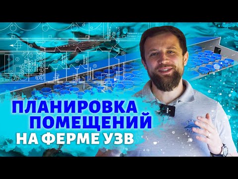 Видео: Как ГРАМОТНО распланировать ПОМЕЩЕНИЯ НА ФЕРМЕ УЗВ