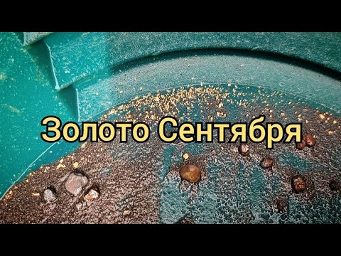 Видео: Золото Сентября