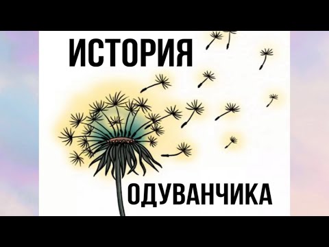 Видео: Ознакомление с окружающим «ИСТОРИЯ ОДУВАНЧИКА»