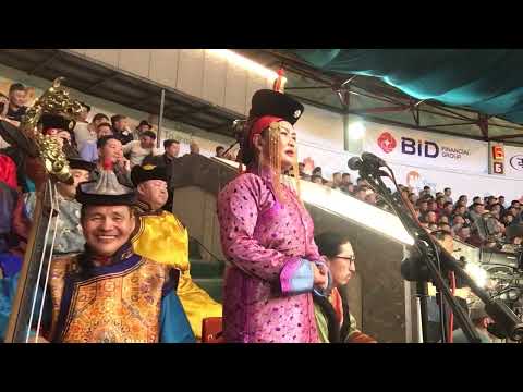 Видео: Ц.Болормаа - Бор борын бялзуухай