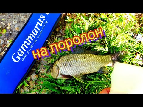 Видео: Мормышинг.Караси на поролон и другая рыба