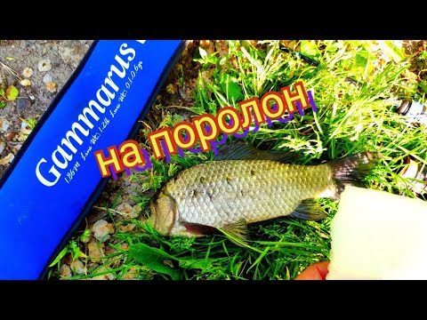 Видео: Мормышинг.Караси на поролон и другая рыба