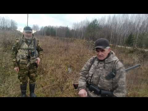 Видео: 5 ноября 2025 г.