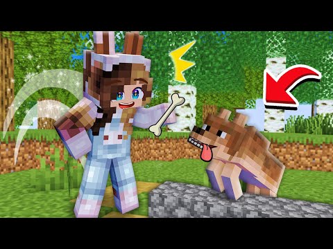 Видео: ПРОКАЧАЛА ДЕТСКИЙ САД В МАЙНКРАФТ! ДОБРАЯ БАФФИ СТАЛА ПОМОЩНИКОМ В ДЕРЕВНЕ СОБАК! MINECRAFT ЖИТЕЛИ