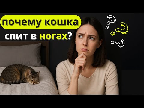 Видео: Вот ПОЧЕМУ кошка спит с вами в ногах - причина вас удивит!
