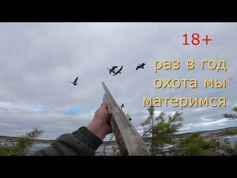 Видео: Охота на гуся Весна 2024 год.