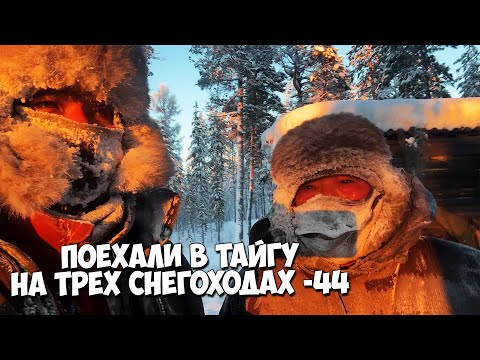 Видео: Поехали в тайгу на трех снегоходах в -44