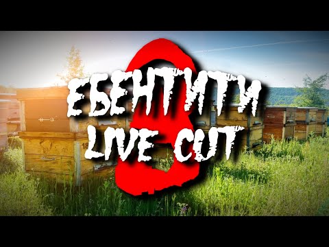 Видео: Ебентити V Нарезка со Стрима #3 | Identity V