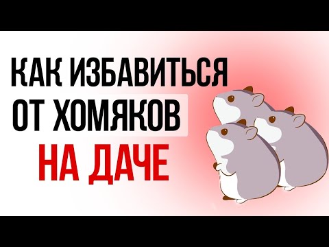 Видео: Как избавиться от хомяков на дачном участке