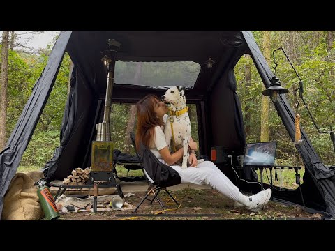 Видео: Уютный кемпинг с собакой в ​​лесу, где никого нет 🐶 Кемпинг в ASMR-грузовике