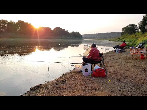 Видео: Первая Ночная Рыбалка. Разведка Днепра Возле Дома. Фидер на Днепре. Рыбалка с Ночевкой.
