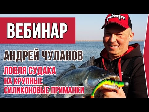 Видео: Вебинар Андрея Чуланова о ловле судака на крупные силиконовые приманки