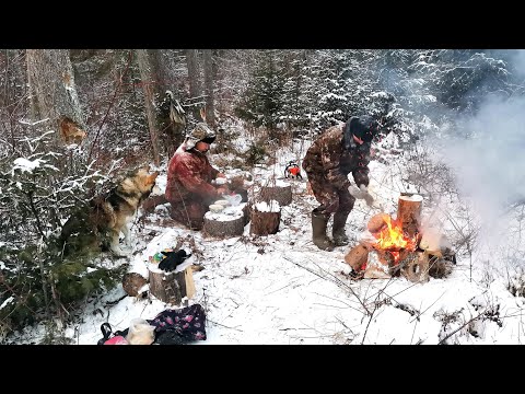 Видео: СИБИРЬ. В ТАЙГУ ЗА ХАРИУСОМ.