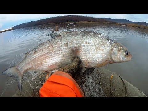 Видео: Рыбалка сплавной сетью поздней осенью, Сиг, щука, рыбалка на реке Амур с fisherman dv.27rus,