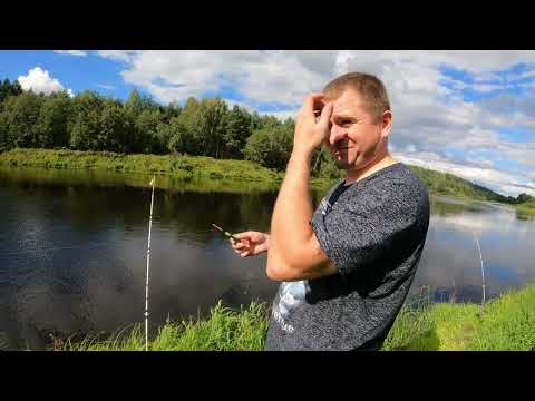 Видео: Рыбалка в Августе на реке Луга 2024год