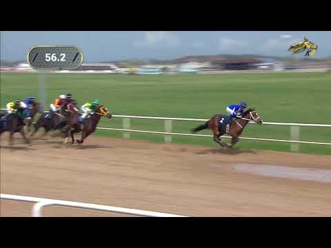 Видео: 4-я Скачка. Приз в честь жеребца Диамед. Павловский ипподром 8 апреля 2023