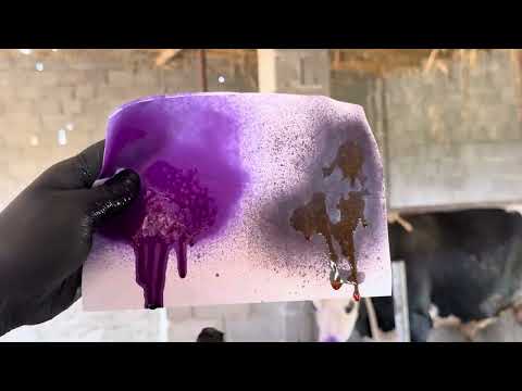 Видео: Оғиз оғриқ касалликларида “Нита фарм ва Бровафарма” дори воситаларидан фойдаланилган даволаш схемаси