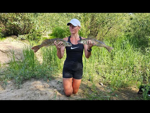 Видео: Рыбалка на Припяти в р-не г.Наровля