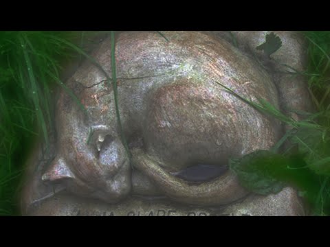 Видео: Необычные надписи на могилах | Самые странные эпитафии в мире