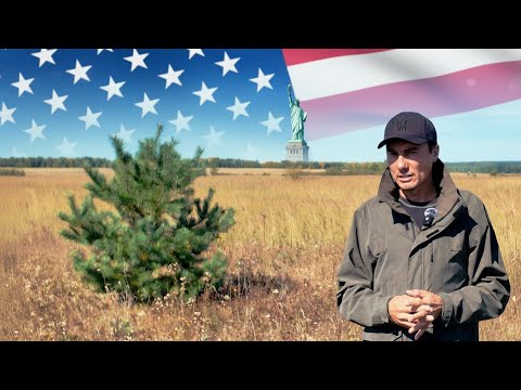 Видео: ВИЗА США  - ЛЕГКО!  ТАШКЕНТ -  ВНЖ И ГРАЖДАНСТВО УЗБЕКИСТАНА #visa #usa #uzbekistan #residential