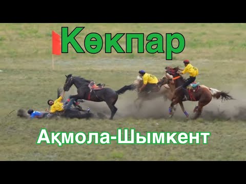 Видео: Көкпар Ақмола-Шымкент