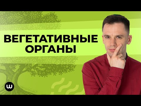 Видео: Вегетативные органы растений | ЕГЭ Биология | Даниил Дарвин