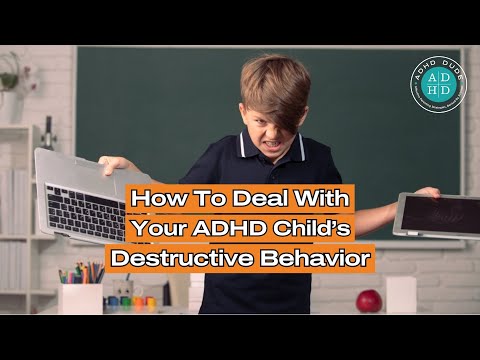Видео: Как справиться с деструктивным поведением детей с СДВГ