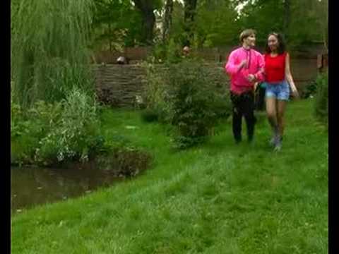 Видео: Рябина красная