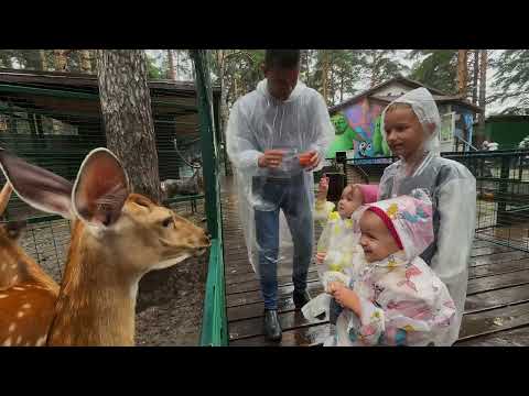 Видео: «Лесная Братва» - не типичный зоопарк в Екатеринбурге.