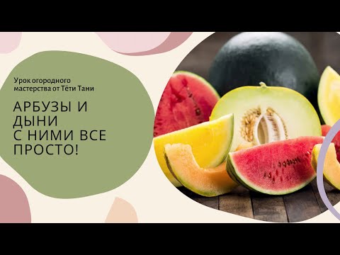 Видео: 820. Арбузы и дыни. С ними всё просто.