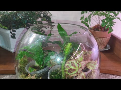 Видео: Интересное наполнение вазы 🌿🌱