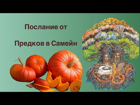 Видео: Послание от Предков в Самейн!