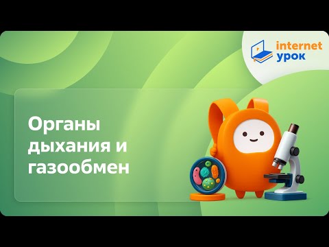 Видео: Органы дыхания и газообмен. Видеоурок по биологии 7 класс