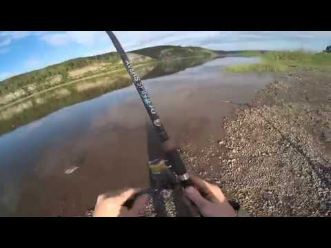 Видео: Выезд за Язями монстрами на реку Томь