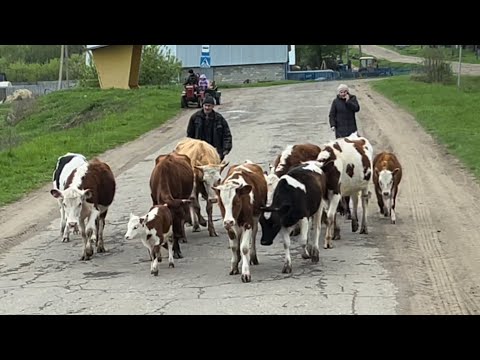 Видео: ДАЛЬНОБОЙ !!! По сёлам и деревням )))😜