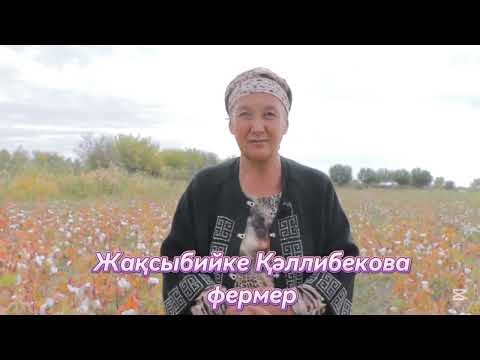 Видео: Үркинбай ата фермер хожалығы баслығы Ж. Каллибеаова