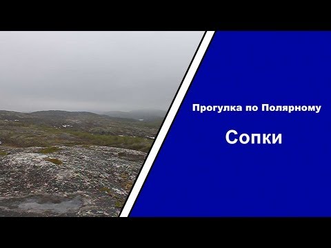 Видео: Прогулка по Полярному — выпуск 7