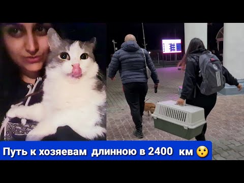 Видео: Вы не поверите😍 Крыселовка едет в Екатеренбург!😱 за 2400км.