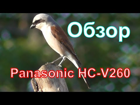 Видео: Видеокамера Panasonic HC-V260. Обзор