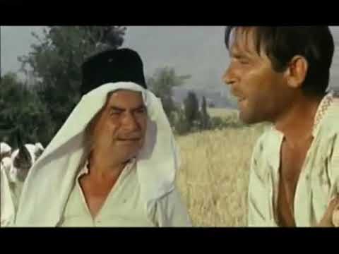 Видео: Македонска крвава свадба