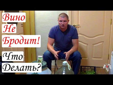 Видео: Вино НЕ БРОДИТ! Что ДЕЛАТЬ?