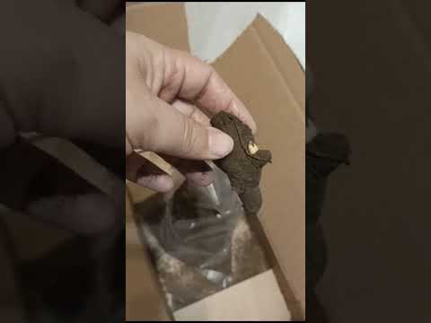 Видео: посылка с сайта мой садовод