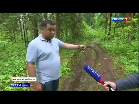 Видео: Растяжки в лесу натянули неизвестные преступники