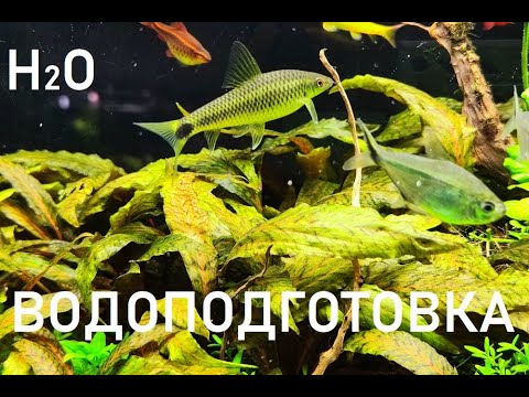 Видео: ВОДОПОДГОТОВКА для пресноводного аквариума.