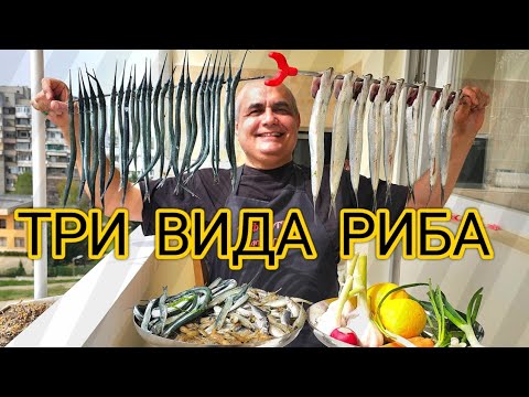 Видео: Най - вкусната риба приготвена на скара и пържена в тиган! Карагьоз, Зарган, Гюмюш, Сафрид и скариди