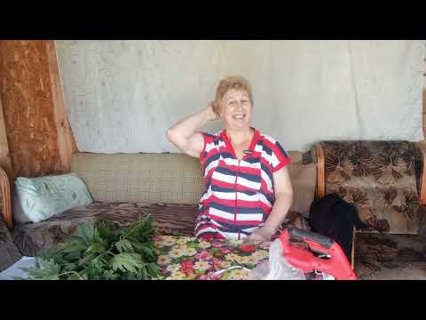 Видео: Сушка трав для здоровья и на зиму — Пенсионерские секреты